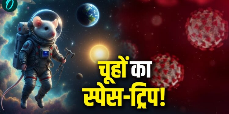 China Space Mission: चीन क्यों भेज रहा अंतरिक्ष में 4 चूहे? क्या कोरोना जैसी महामारी दोबारा फैलाने की तैयारी? | China Space Mission-lab-mice-experiment