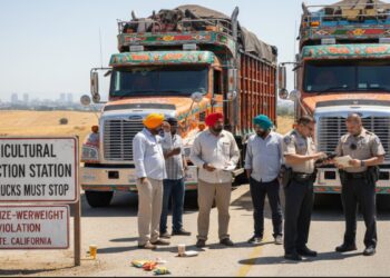 America: कैलिफ़ोर्निया में 17,000 विदेशी ट्रक ड्राइवरों के लाइसेंस रद्द, सबसे ज्यादा रडार पर भारतीय! | America: illegal-truck-drivers-california-immigration-crackdown
