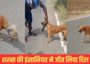 Viral Video: कैसे-कैसे लोग हैं? कुत्ते के साथ की ऐसी हरकत, वीडियो देखते ही भड़क गए यूजर्स