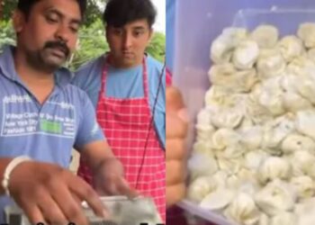 Viral Video: एक दिन में कितना कमा लेता है मोमो वाला? बंदे ने साथ रहकर किया ये चौंकाने वाला खुलासा