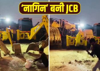 ‘नागिन’ बनी JCB, बीन की धुन पर खूब नाची; पुराने Video ने इंटरनेट पर फिर मचाया तहलका!