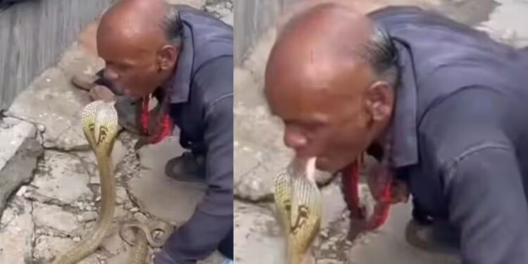 Viral Video: चाचा ने कोबरा के साथ किया लिपलॉक! फिर किया कुछ ऐसा देखकर सहम गए लोग