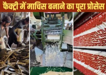 Viral Video: लकड़ियों से ऐसे बनाई जाती है माचिस, वायरल वीडियो में देखें पूरा प्रोसेस