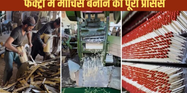 Viral Video: लकड़ियों से ऐसे बनाई जाती है माचिस, वायरल वीडियो में देखें पूरा प्रोसेस