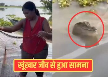 Viral Video: महिला ने पानी में जैसे ही डाला जाल, दिखा ऐसा जीव, गिरते-पड़ते लगी भागने; देखें वीडियो