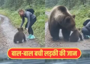 Viral Video: भालू के बच्चे की मदद करने चली लड़की, फिर जो हुआ…वीडियो देख उड़ जाएंगे होश