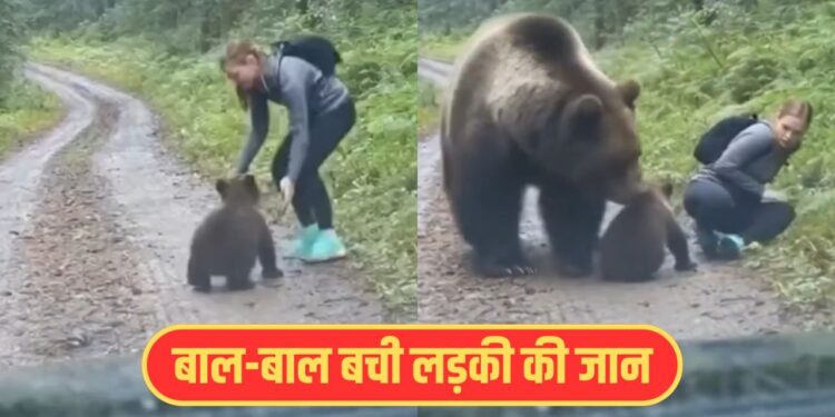 Viral Video: भालू के बच्चे की मदद करने चली लड़की, फिर जो हुआ…वीडियो देख उड़ जाएंगे होश