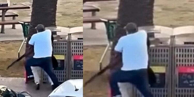 सिडनी में गोलियों की बौछार के बीच ‘रियल हीरो’ का एक्शन, शूटर की कनपटी पर तानी उसी की बंदूक, VIDEO वायरल | Australia Firing Video Viral Sydney Bondi Beach Shooting Attack on Jewish Community