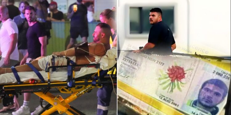 Bondi Beach Firing Hindi News: सिडनी में हनुक्का उत्सव पर आतंकी हमला, 12 लोगों का हत्यारा Naveed Akram कौन? | Bondi Beach Firing: Who Is Naveed Akram, Killed Many People, Terrorist Attack During Hanukkah in Sydney News Hindi