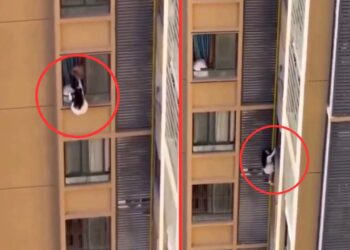 Viral Video: प्रेमी की बीवी को देख 10वीं मंजिल से यूं लटकी प्रेमिका! फिल्मी स्टाइल में आशिक के घर हुआ ड्रामा; देखें वीडियो