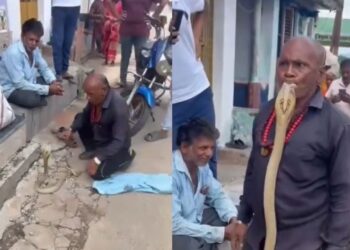 Viral Video: ‘यमराज के साथ उठना-बैठना है…’, बंदे ने कोबरा के साथ कर दी ऐसी हरकत, लोग बोले- सदमे में है सांप बिरादरी