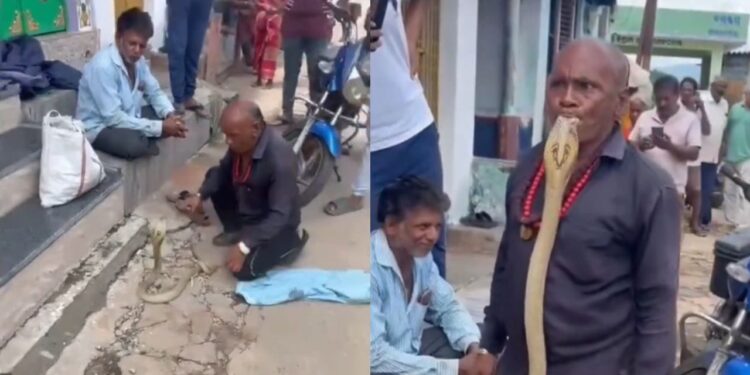 Viral Video: ‘यमराज के साथ उठना-बैठना है…’, बंदे ने कोबरा के साथ कर दी ऐसी हरकत, लोग बोले- सदमे में है सांप बिरादरी