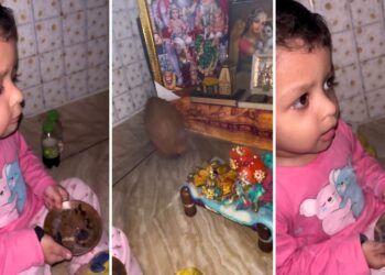 Viral Video: ‘अच्युतम केशवम’ गाकर इस बच्चे ने इंटरनेट पर मचाई धूम! दिल जीत लेगा यह वीडियो