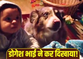 Viral Video: बच्चे को सिखा रहे थे बोलना, बीच में डॉगी ने कह दिया ‘मम्मा’, वीडियो देख छूट जाएगी हंसी!