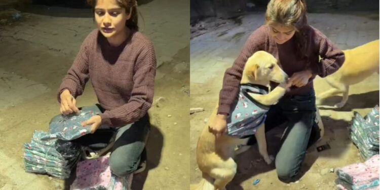 Viral Video: इसे ही कहते हैं इंसानियत! लड़की ने कुत्तों के लिए जो किया, उसे देख खुश हो गए लोग
