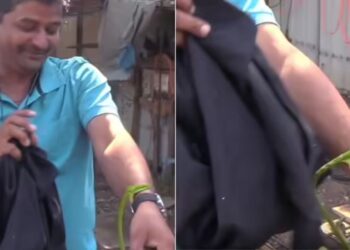 Viral Video: सांप से कंटवाते समय गजब चिल मार रहा था बंदा, आगे का सीन देख फटी रह जाएंगी आपकी आंखें
