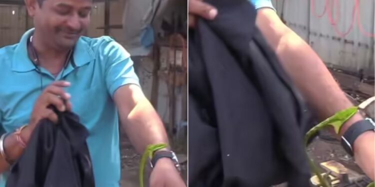 Viral Video: सांप से कंटवाते समय गजब चिल मार रहा था बंदा, आगे का सीन देख फटी रह जाएंगी आपकी आंखें