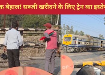 OMG! सब्जी की खरीदारी के लिए इंजन लेकर निकला लोको पायलट! वायरल हुआ वीडियो तो फूटा लोगों का गुस्सा