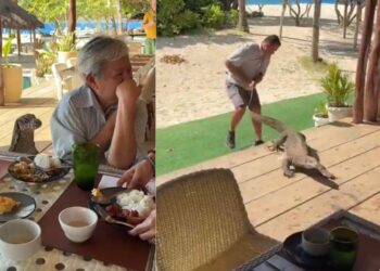 Viral Video: जब खाने की टेबल के पास पहुंच गई मॉनिटर लिजर्ड, फिर जो हुआ…हैरान कर देगा नजारा