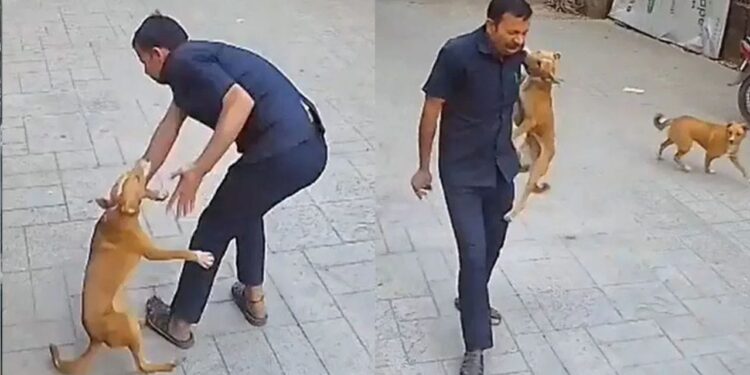 Viral Video: स्कूल के कैमरे में कैद चौंकाने वाली घटना, गार्ड के कंधे को काट गया कुत्ता