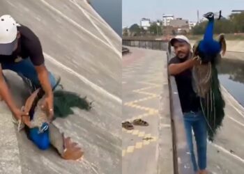 Viral Video: इंसानियत की सच्ची मिसाल, ये वायरल वीडियो देख खुश हो गए लोग