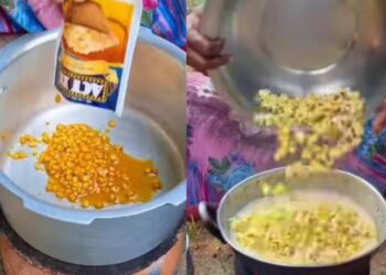 Viral Video: महिला ने बनाई पॉपकॉर्न करी, वीडियो देख सांतवें आसमान पर पहुंचा लोगों का गुस्सा
