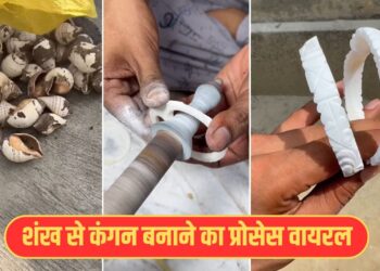 Viral Video: शंख से ऐसे बनाए जाते हैं खूबसूरत कंगन, वीडियो देख यकीन करना हो जाएगा मुश्किल