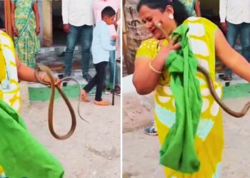 Viral Video: जहरीले सांप से भिड़ी महिला, पलटकर किया ऐसा हमला, देख कांप गई लोगों की रूह!