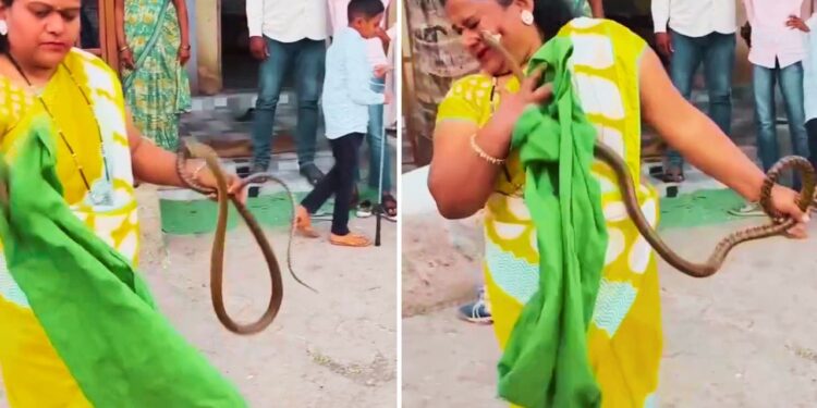 Viral Video: जहरीले सांप से भिड़ी महिला, पलटकर किया ऐसा हमला, देख कांप गई लोगों की रूह!