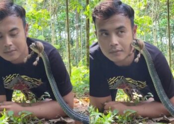 Viral Video: बंदे ने सांप की बना दी चोटी, फिर जो हरकत की, उसने चौंका दिया…देखें वीडियो