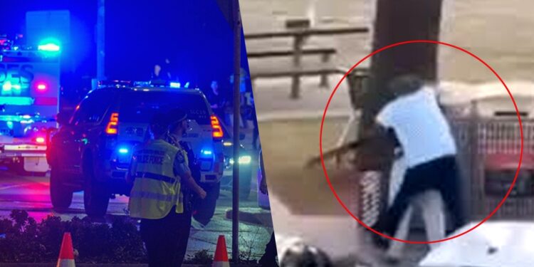 Sydney Attack: पाकिस्तानी मूल के बाप-बेटे ने मासूमों को मारा! जानिए आतंकी साजिद और नवीद अकरम के बारे में सबकुछ | Sydney Attack-bondi-beach-shooting-jewish-festival-pakistani-father-son-behind-attack-hindi-news