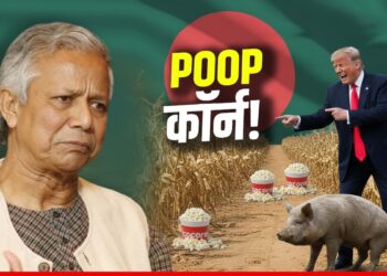 Weird World: सुअर की पॉटी से उगा मक्का खाएंगे बांग्लादेश के मुस्लिम, ट्रंप ने कर दिया खेला | weird-world-us-pig-potty-corn-manure-bangladesh-controversy-news-hindi