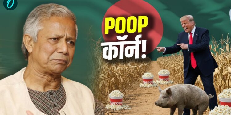 Weird World: सुअर की पॉटी से उगा मक्का खाएंगे बांग्लादेश के मुस्लिम, ट्रंप ने कर दिया खेला | weird-world-us-pig-potty-corn-manure-bangladesh-controversy-news-hindi
