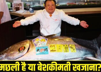 मछली है या सोना? 29 करोड़ में बिकी ये फिश, वजह जान रह जाएंगे हैरान