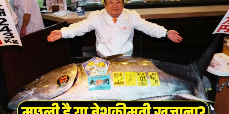 मछली है या सोना? 29 करोड़ में बिकी ये फिश, वजह जान रह जाएंगे हैरान
