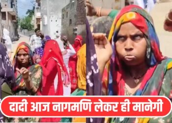 Viral Video: ऐसा नागिन डांस नहीं देखा तो क्या देखा! दादी ने इंटरनेट पर मचा दिया तहलका