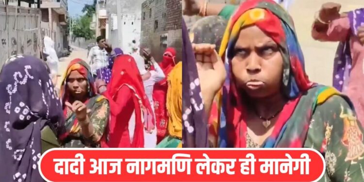 Viral Video: ऐसा नागिन डांस नहीं देखा तो क्या देखा! दादी ने इंटरनेट पर मचा दिया तहलका