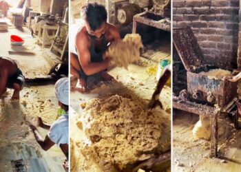 Viral Video: फैक्ट्री में ऐसे बनती हैं फेमस अमृतसरी वड़ियां, देख लिया तरीका तो हाथ भी नहीं लगाएंगे आप