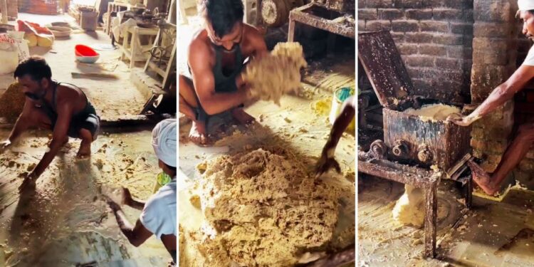 Viral Video: फैक्ट्री में ऐसे बनती हैं फेमस अमृतसरी वड़ियां, देख लिया तरीका तो हाथ भी नहीं लगाएंगे आप