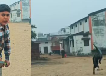 Viral Video: बंदे ने तेज गेंदबाज को फील्ड पर मारने का बताया ऐसा तरीका, वीडियो देख माथा पकड़ लेंगे आप