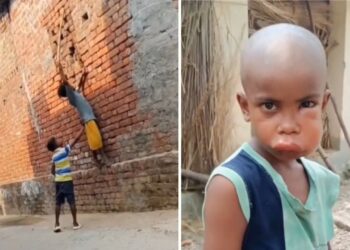 Viral Video: लकड़ी से मधुमक्खियों को छेड़ा, मिला फुल ऑन जवाब; देखिए कैसे फूल गया मुंह