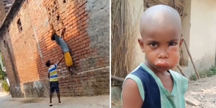 Viral Video: लकड़ी से मधुमक्खियों को छेड़ा, मिला फुल ऑन जवाब; देखिए कैसे फूल गया मुंह