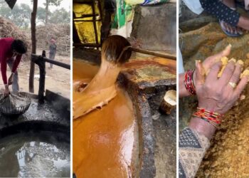 Viral Video: फैक्ट्री में ऐसे बनता है गुड़, देख लिया तरीका तो खाने से पहले सौ बार सोचेंगे आप!