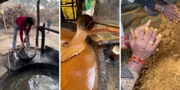 Viral Video: फैक्ट्री में ऐसे बनता है गुड़, देख लिया तरीका तो खाने से पहले सौ बार सोचेंगे आप!