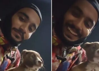 Viral Video: सड़क पर गाड़ियों के बीच फंसा था पिल्ला, देवदूत बना Zomato राइडर और बचाई बेजुबान की जान