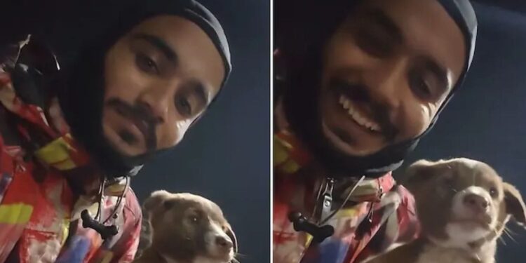 Viral Video: सड़क पर गाड़ियों के बीच फंसा था पिल्ला, देवदूत बना Zomato राइडर और बचाई बेजुबान की जान