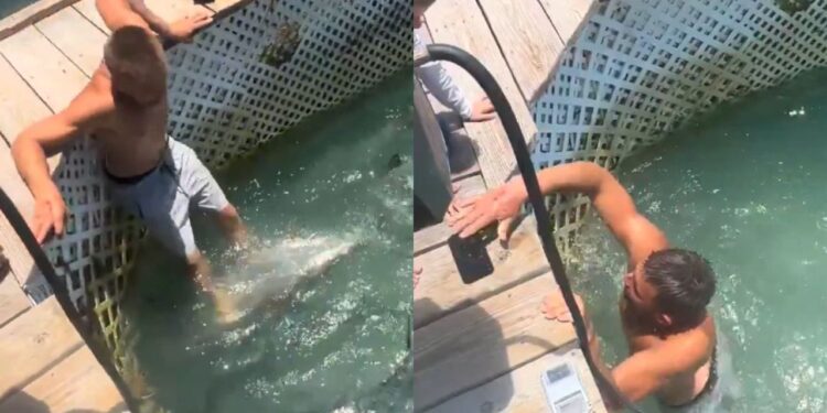 Viral Video: मोबाइल के चक्कर में शार्क से भरे पानी में कूद गया शख्स, देखिए फिर क्या हुआ