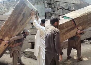 Viral Video: सचमुच का ‘बाहुबली’ है ये बंदा, उठा ली इतनी भारी-भरकम लकड़ी; वीडियो देख चौंक गए लोग