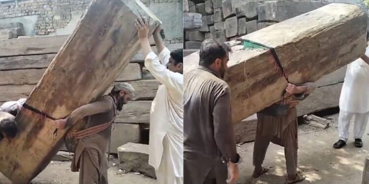 Viral Video: सचमुच का ‘बाहुबली’ है ये बंदा, उठा ली इतनी भारी-भरकम लकड़ी; वीडियो देख चौंक गए लोग