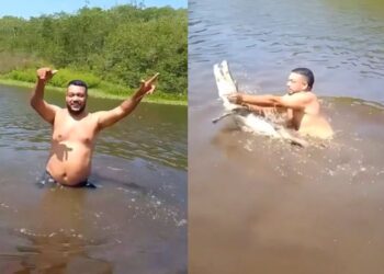 Viral Video: नदी में कर रहा था मस्ती, तभी पहुंच गया मगरमच्छ, फिर देखिए क्या हुआ